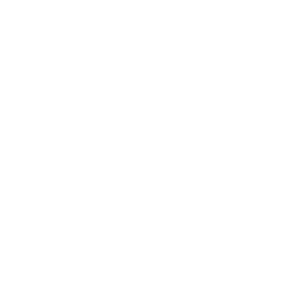 OneLifeRP
